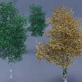 Three Tall Arbors With Green And Golden Leaves And White Trunks