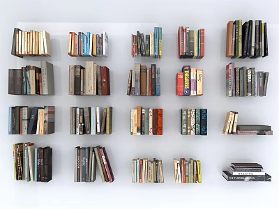 Books Magazines Of Different Colors Sizes Neatly Arranged On Multiple Shelves 3d model