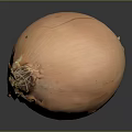 Fresh Orange Onion With Natural Texture On Black Background Surface 3d model