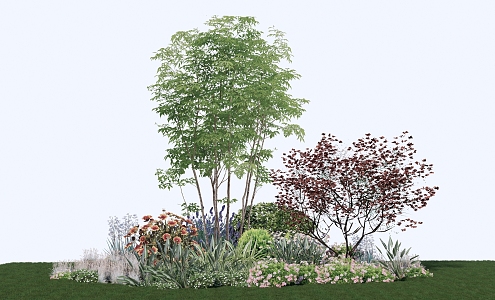 Modern shrubs, trees and shrubs, combinations, flower borders 3d model