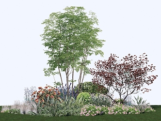 Modern shrubs, trees and shrubs, combinations, flower borders 3d model