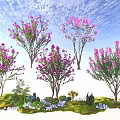 Flowering Trees With Pink Blossoms Green Grass Small Plants And Stones