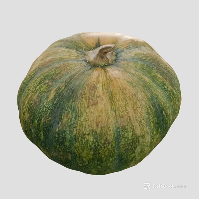 Fresh Ripe Green and Yellow Pumpkin with Textured Surface as Healthy Vegetable 3d model 
