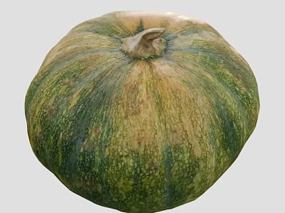 Fresh Ripe Green and Yellow Pumpkin with Textured Surface as Healthy Vegetable 3d model