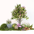 Garden Plant Combination Featuring Tree Purple Flowers Blue Pink Orange Blooms Green Shrubs And Stones