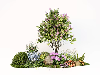 Plant Flower Mirror Green Plant Combination Landscape Tree Flowers and Plants Shrubs 3d model