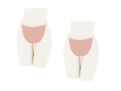 Two Pink Women's Panties Showcased On White Female Mannequins For Daily Wear 3d model