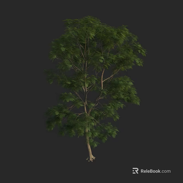Natural Arbor With Lush Green Leaves And Tall Trunk In Isolated View 3d model 