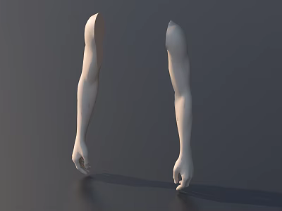 Model Featuring White Arms Hanging Down On Gray Background With Palms Facing Forward 3d model