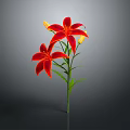 Red Lily With Two Blooming Flowers Two Buds Green Stem And Leaves On Gray Background