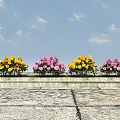 Vibrant Yellow And Pink Flowers In Stone Flower Bed With Blue Sky And Slate Pavement