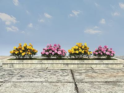 Vibrant Yellow And Pink Flowers In Stone Flower Bed With Blue Sky And Slate Pavement 3d model