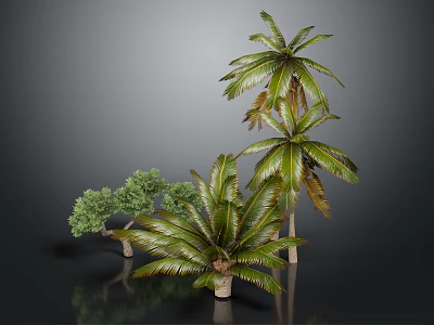 Lush Green Palm Trees And Various Tropical Plants With Vibrant Leaves 3d model