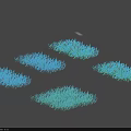 Four Green Grass Patches Arranged On Gray Background With Natural Green Color