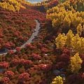 Beautiful Winding Mountain Road Leads Through Vibrant Red And Golden Autumn Forest Natural Scenery