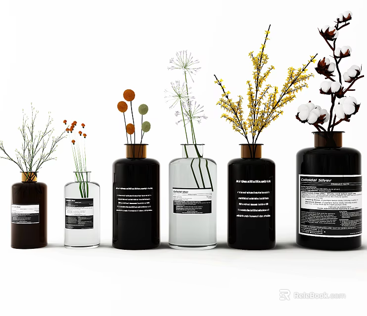 Decorative Glass and Ceramic Vases with Dried Flowers and Botanical Stems for Home Decor 3d model 