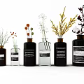 Decorative Glass and Ceramic Vases with Dried Flowers and Botanical Stems for Home Decor