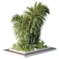 Outdoor Tree Planter with Lush Green Trees Various Plants and Natural Foliage