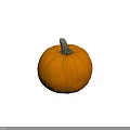 Fresh Ripe Orange Pumpkin with Green Stem and Smooth Ribbed Surface