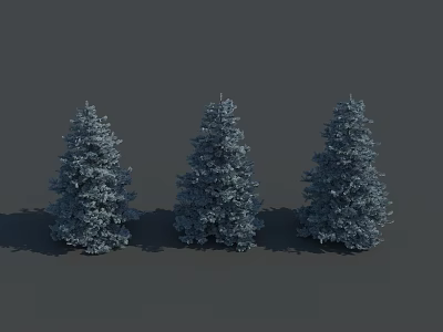 Three Blue Evergreen Trees Standing Against Gray Background With Shadows 3d model