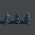 Three Blue Evergreen Trees Standing Against Gray Background With Shadows 3d model