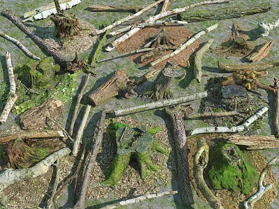 Naturally Collected Stone and Wood Stumps with Moss Covered Branches and Textures 3d model