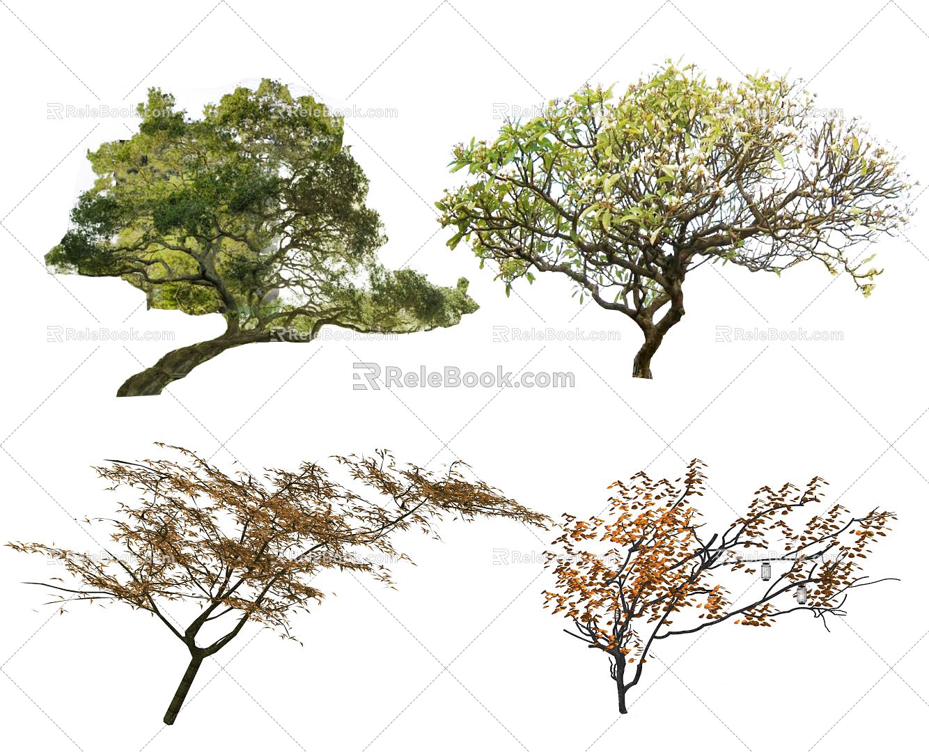 Modern tree crooked neck tree modeling tree red maple ornamental tree landscape tree street tree ancient tree big tree tree 3d model