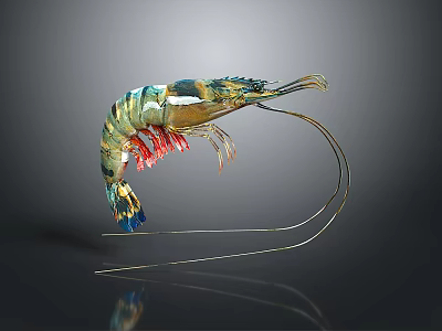 Colorful Prawn With Curved Antennae And Vibrant Green Blue Red Body Details 3d model