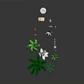 Tropical Decorative Scene With Tall Palm Trees Green Leaves And Orange Trunks