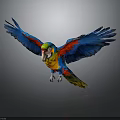 Colorful Parrot With Spread Wings And Vibrant Feathers On Gray Background