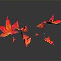 Red and Pink Autumn Leaves Floating with Reflection on Dark Background 3d model