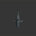 Modern shark great white shark whale shark hammerhead shark 3d model