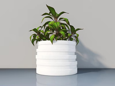 Potted Plant with Lush Green Leaves and Red Edges in White Layered Striped Modern Pot 3d model