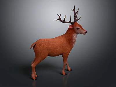 Realistic Brown Deer With Large Antlers Standing On Dark Background 3d model