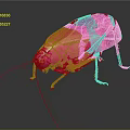 Pink Cockroach With Yellow Eyes And Transparent Wings On Dark Background With Reflection