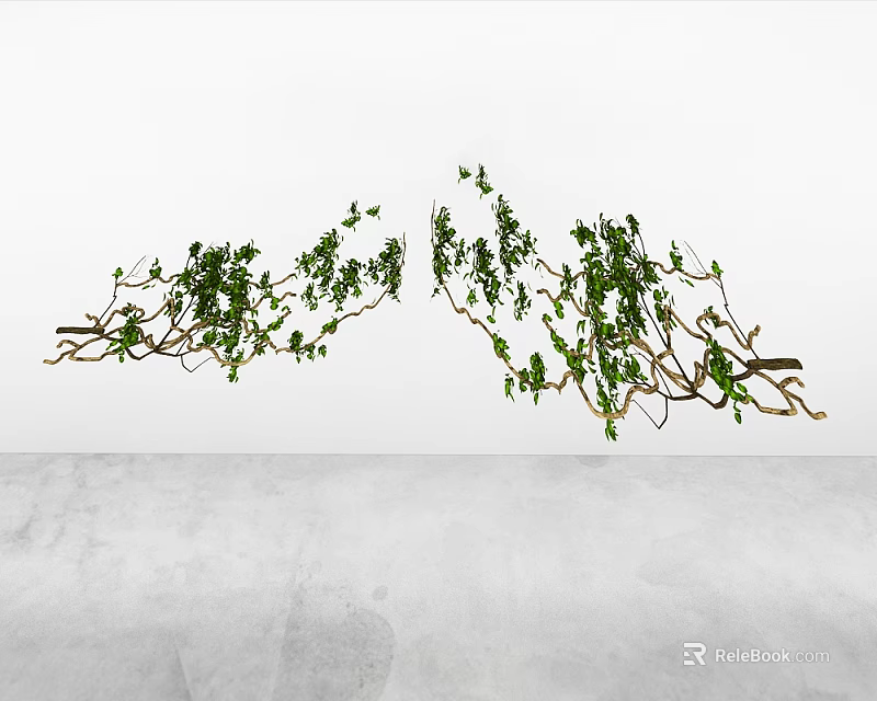 Lush Green Vines With Twisted Branches And Fresh Leaves Growing On White Wall 3d model 