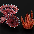 Vibrant Flower Structures Featuring Red Spiral and Orange Coral Like Patterns 3d model