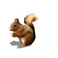 Modern Squirrel Little Squirrel 3d model