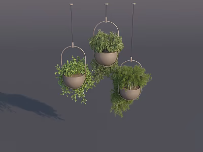 Three Lush Green Hanging Plants in Metallic Hanging Pots Against Gray Background 3d model