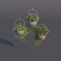 Three Lush Green Hanging Plants in Metallic Hanging Pots Against Gray Background