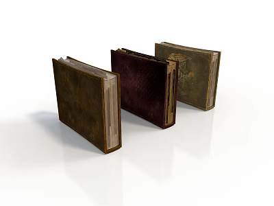 Old Books Brown Dark Red And Light Brown Placed Side By Side On White Background 3d model