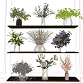 Assorted Flowers and Green Plants in Glass Vases on Multi Tier Shelves Against White Wall Background