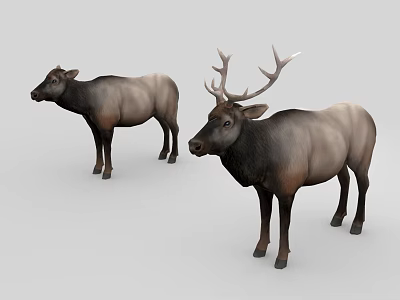 Two Reptiles Standing On Gray Background With Natural Skin Texture 3d model