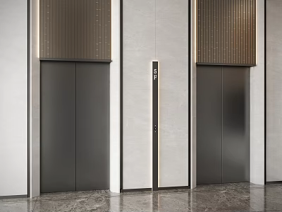 Modern Elevator Hallway With Sleek Dark Elevator Doors And Polished Marble Floor Design 3d model