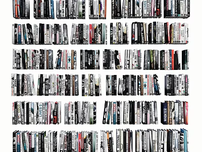 Diverse Collection of Books and Magazines Arranged on Shelves in Library 3d model