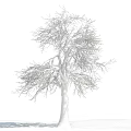 Snow Covered Arbor With Bare Branches Against Blue Sky And White Clouds