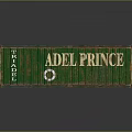 Rusty Green Container With ADEL PRINCE Lettering FRAPDLE And Lifebuoy Symbol