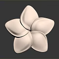 Light Pink Flower With Five Petals On Dark Background Showing Reflection 3d model