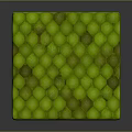 Organ And Hair Inspired Green Scaled Cube With Detailed Textured Surface Design