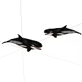 Two Black And White Orcas With Open Mouths Marine Animals Illustration